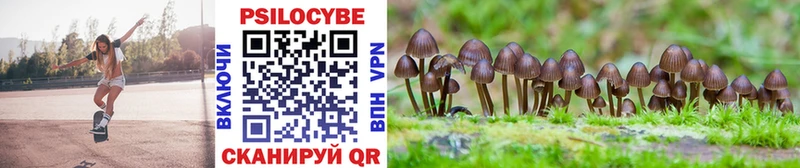 Псилоцибиновые грибы Psilocybine cubensis  Купить  Шуя 